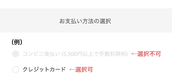 お買い物ガイド (リアルショップについて)- レディース
