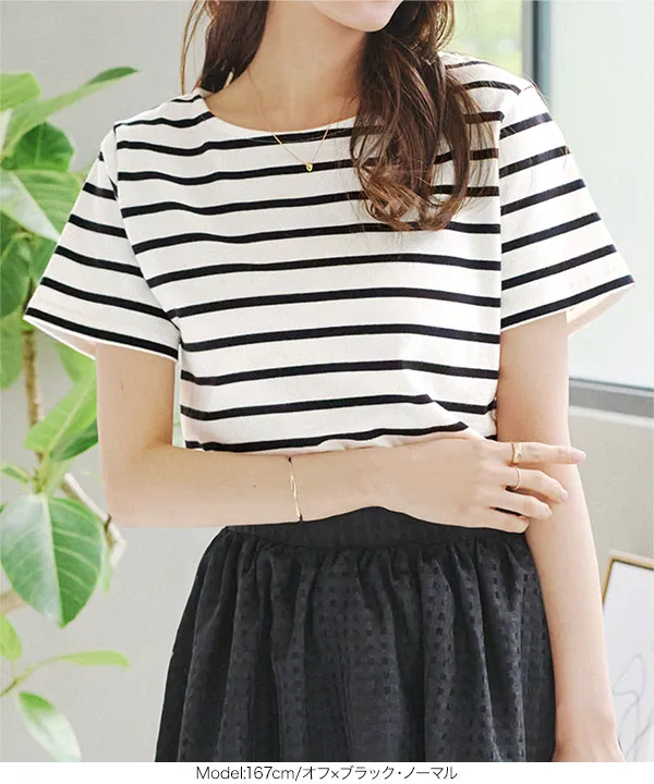 選べるデザイン コットン100％ ベーシックボーダー半袖Tシャツ [C2104]