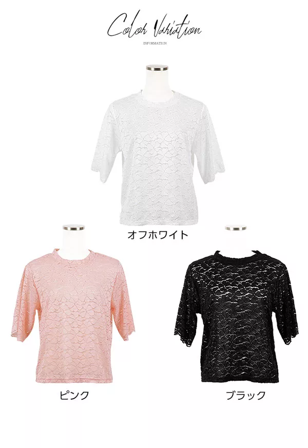 パンチングレースブラウス [C3353]  　