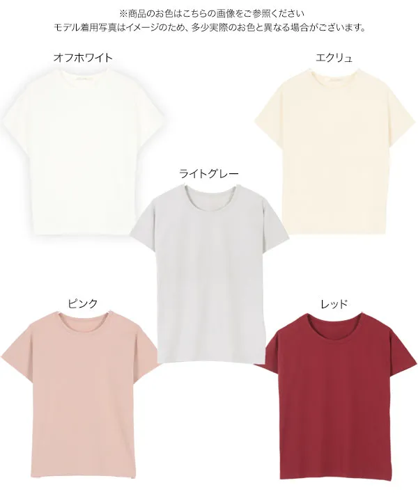 [ 選べる3サイズ ] コットン100％シンプルTシャツ [C5106] | 今だけ特別価格＆送料無料！