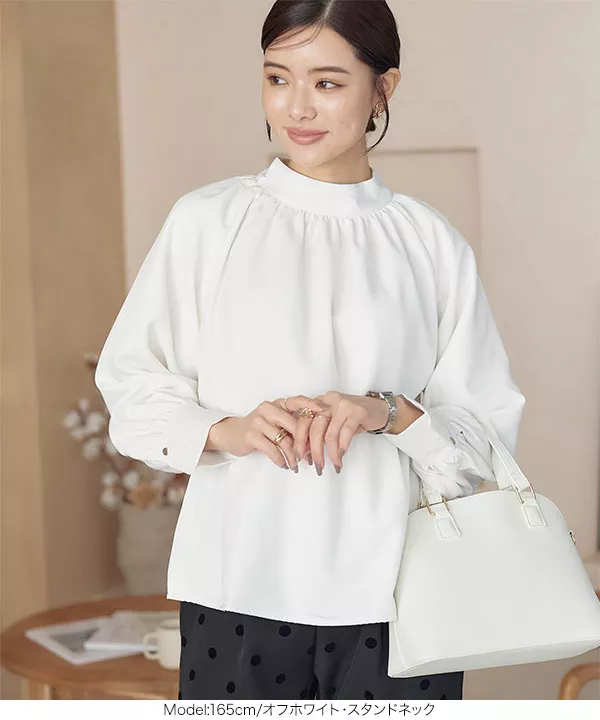 裏起毛 ] あったか裏地付き選べる4タイプ デザインブラウス [C6564