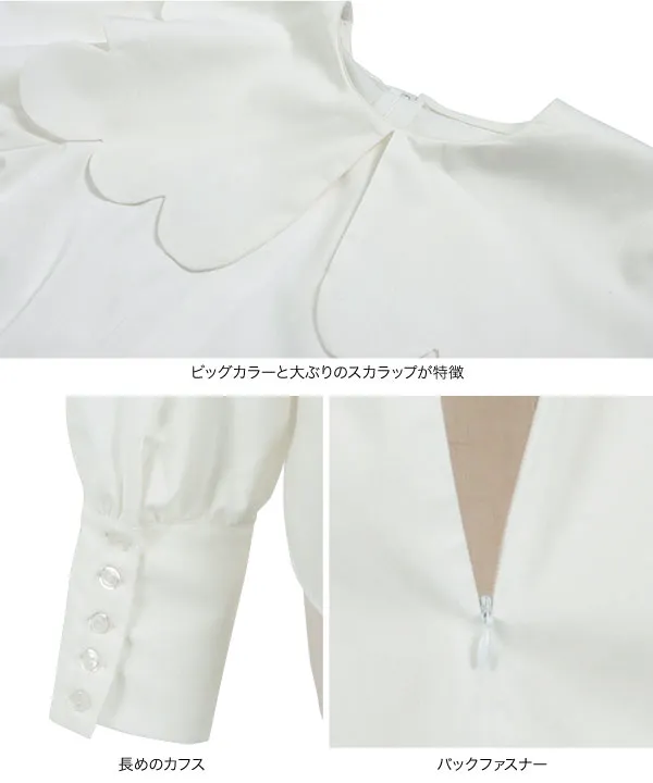 BLANC スカラップ襟　ブラウス 楽天市場】スカラップ 襟の通販