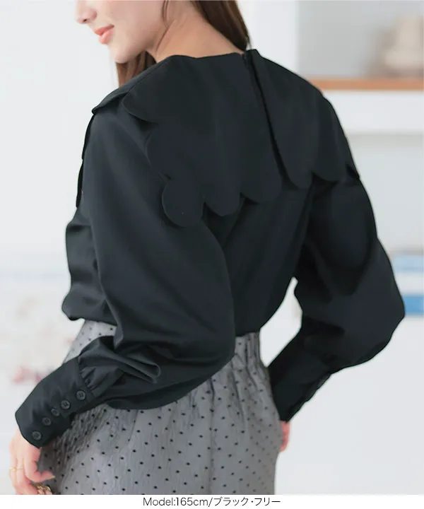 yori ブラック スカラップカラー ブラウス yori カラートップス