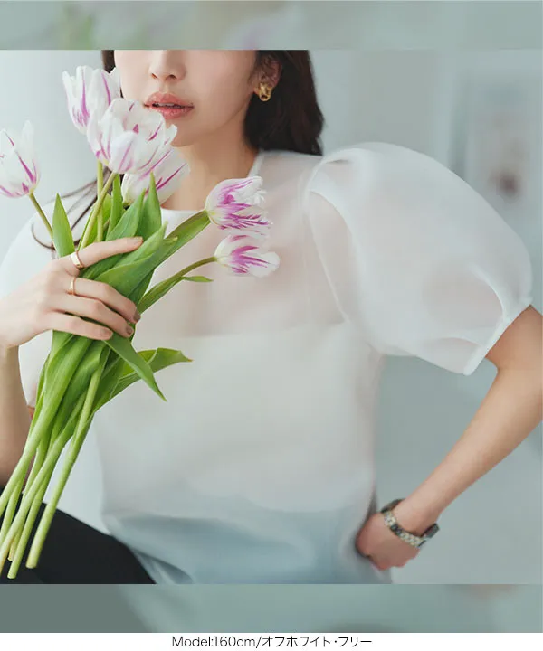 シアーダンボールパフスリーブブラウス [C7365] - レディース