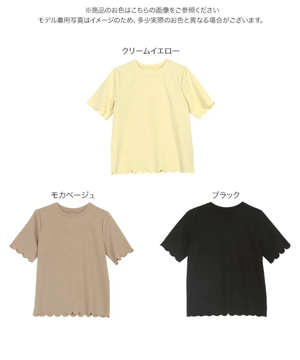 スカラップTシャツ [C7539] - レディースファッション通販 神戸レタス