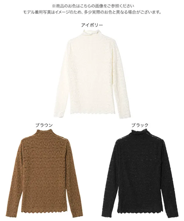 起毛シアーレース長袖トップス [C7816] | トップス全品送料無料！7/10