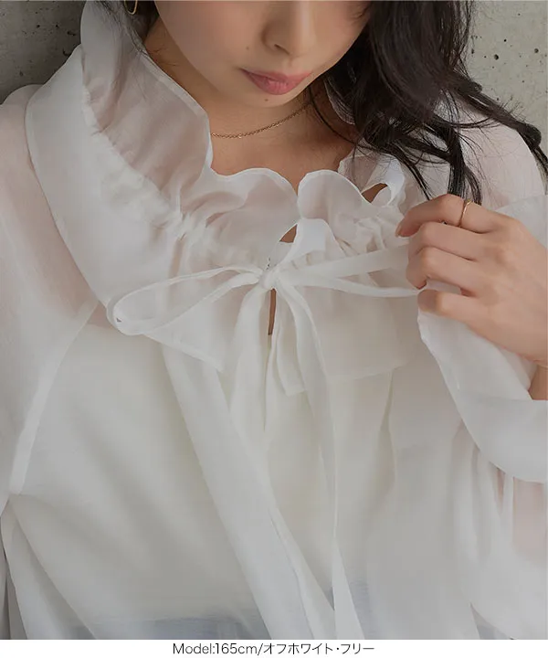 シアーカフタンブラウス [C7858]| SALE！