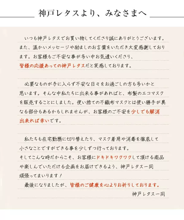 エコマスク[ 1枚入り ] [J849]