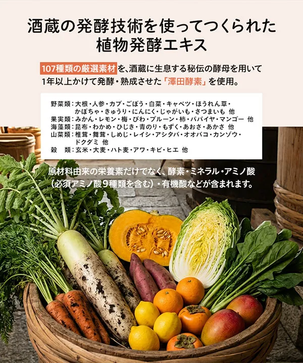 【朝プロテイン】朝に飲むInnerBeautyProtein Morning [X507]