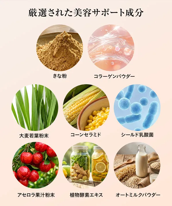 【朝プロテイン】朝に飲むInnerBeautyProtein Morning [X507]