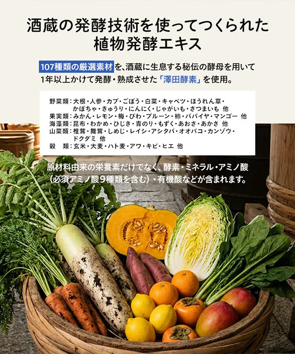 【夜プロテイン】　夜に飲むInnerBeautyProtein Evening [X508]