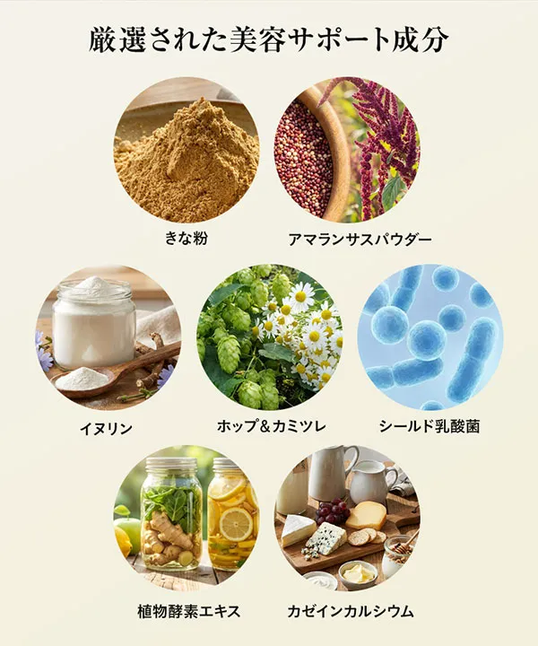 【夜プロテイン】　夜に飲むInnerBeautyProtein Evening [X508]